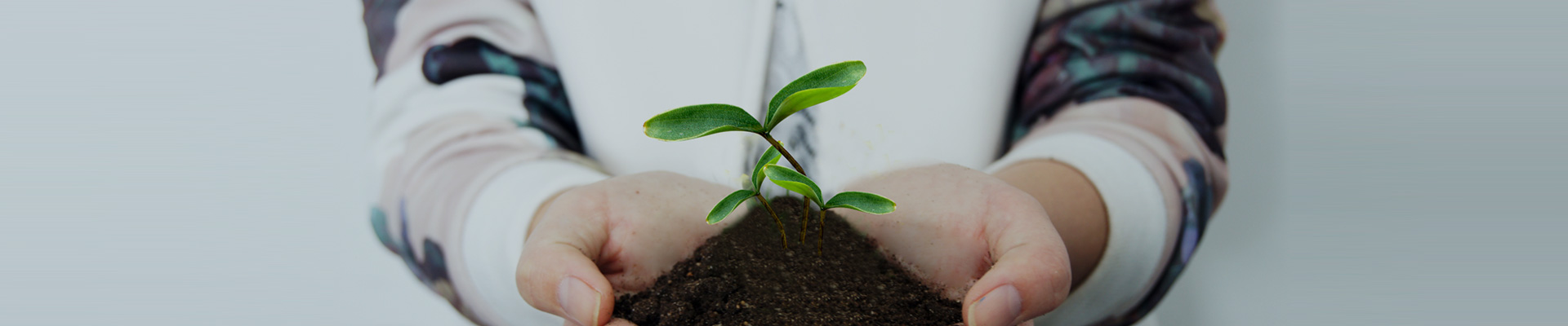 关于122cc太阳集成游戏