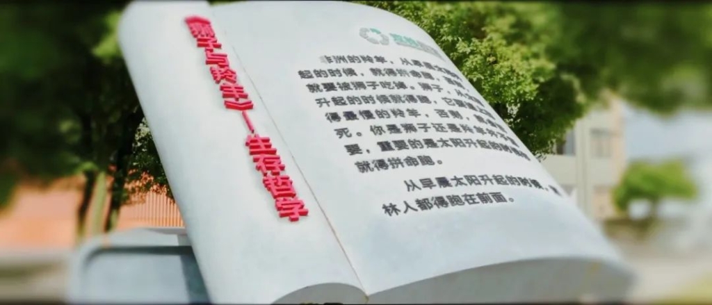 122cc太阳集成游戏(中国)有限公司官网